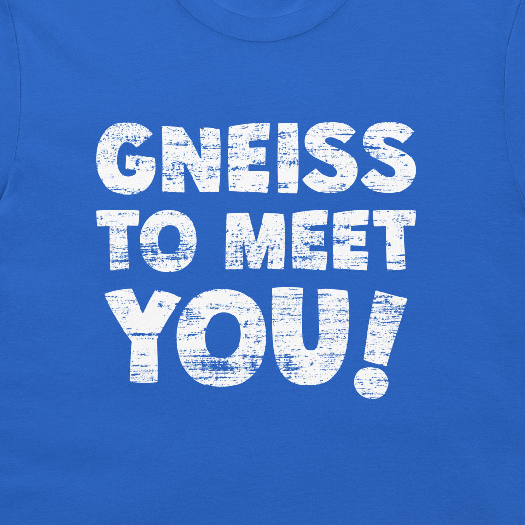 A close-up of a royal blue t-shirt featuring the phrase 'GNEISS TO MEET YOU!' printed in a distressed white typewriter font.