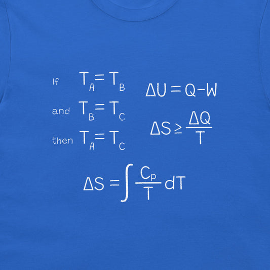 A close-up of a blue T-shirt with white printed thermodynamics equations and text on the chest.