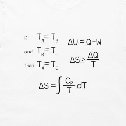 A white short-sleeve t-shirt featuring a black printed thermodynamics formula sheet on the front, detailing entropy and heat transfer equations.