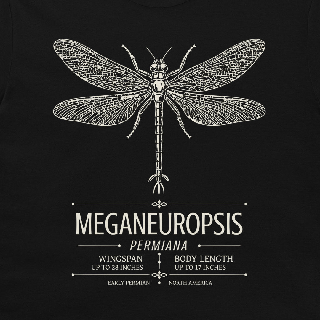 A black graphic print featuring a detailed off-white scientific illustration of a dragonfly above the text 'MEGANEUROPSIS PERMIANA' with paleontological details.