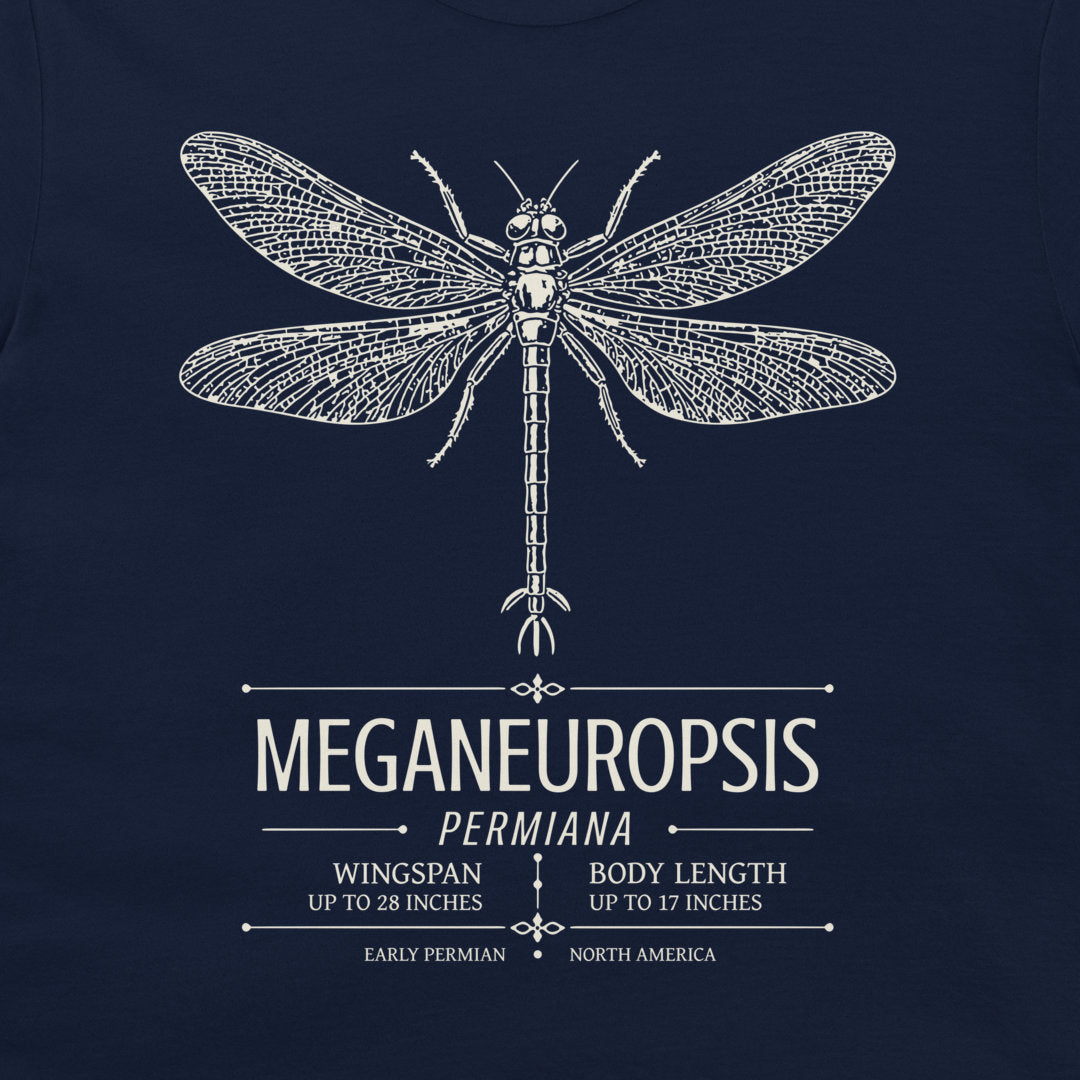 A navy blue graphic print featuring a off-white line-art illustration of a dragonfly above the text 'MEGANEUROPSIS PERMIANA' with additional paleomyopod and body measurements for an early Permian insect.