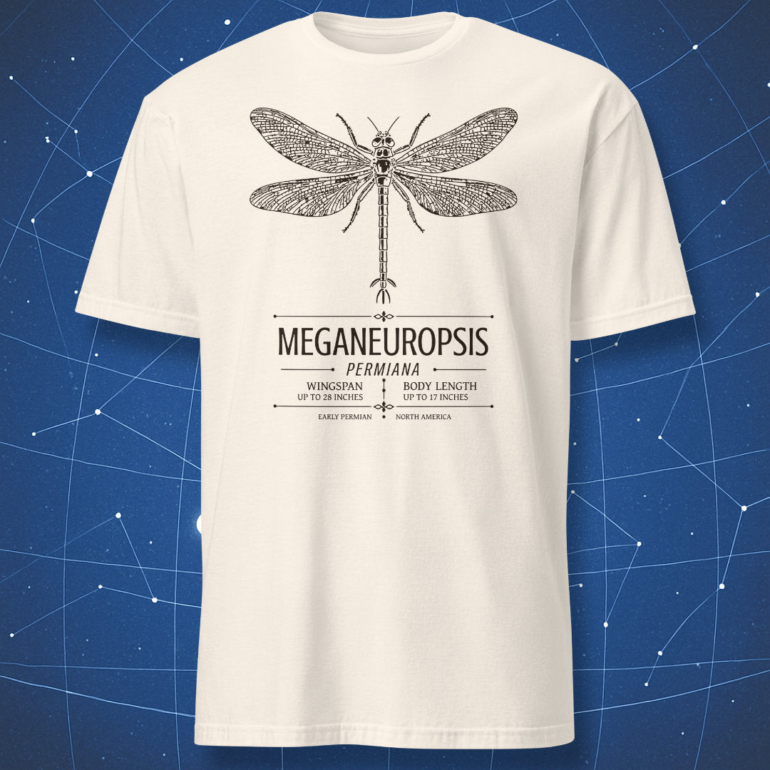 Meganeuropsis permiana vintage scientific plate T-shirt in natural beige