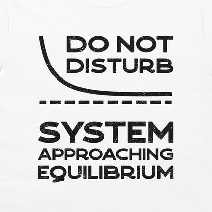 Close-up of the black equilibrium curve and thermodynamics joke on a white T-shirt