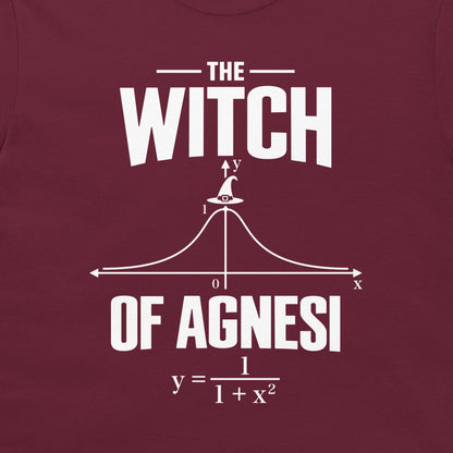 Close-up of the white Witch of Agnesi graph and normalized equation on a maroon T-shirt