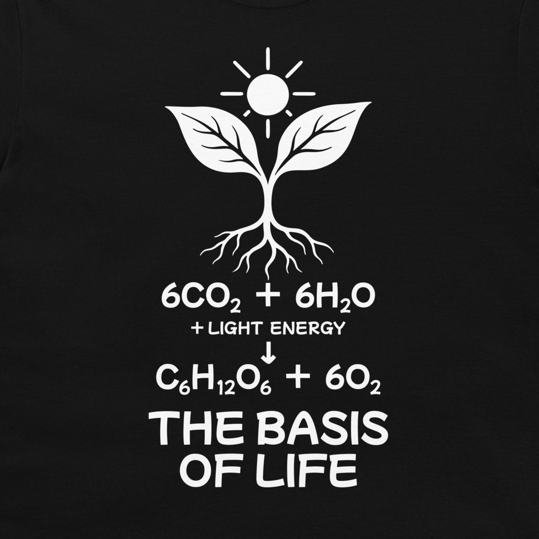 Close-up of the white seedling, sun and photosynthesis equation above “The Basis of Life” on black fabric.