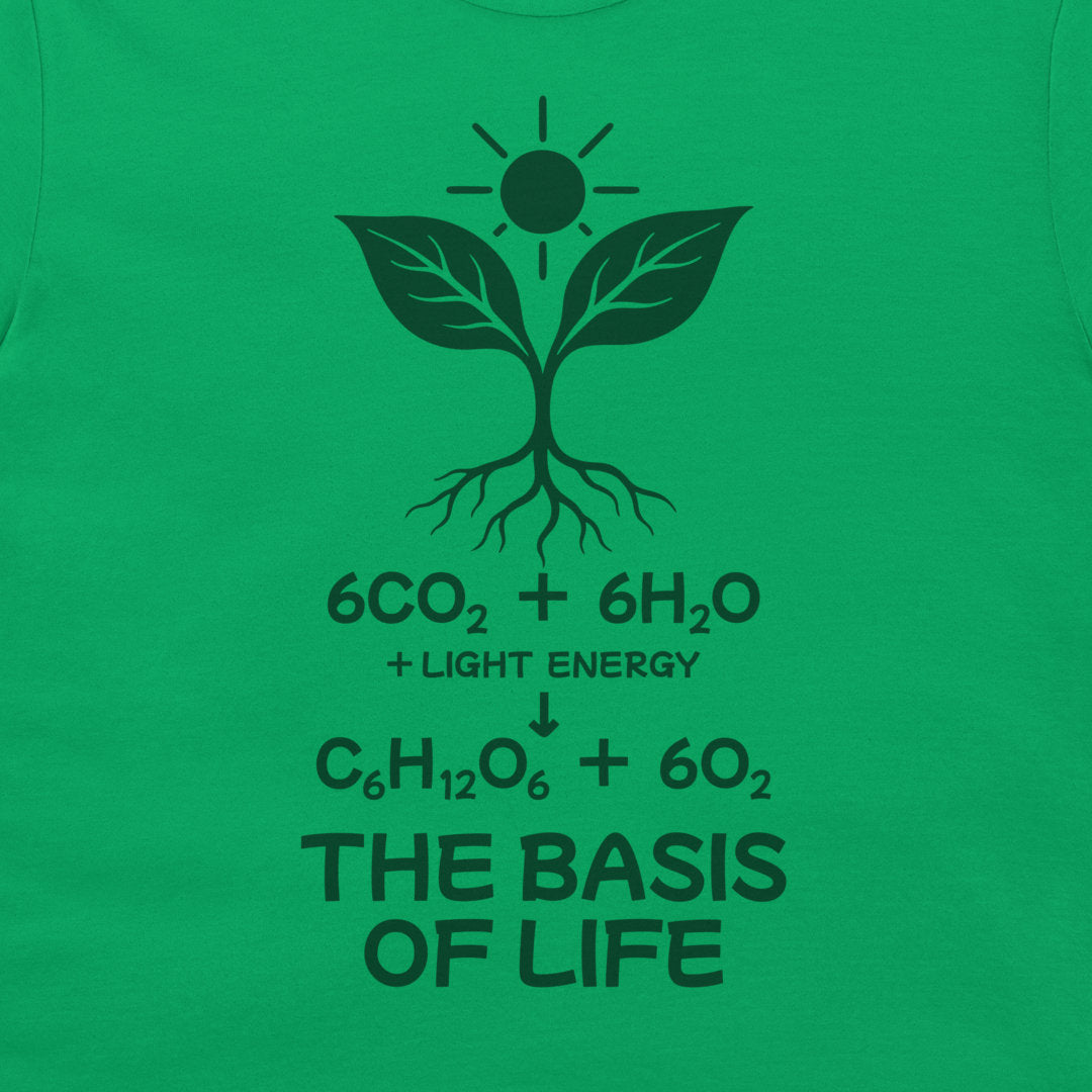 Close-up of the dark green plant, sun and photosynthesis formula above “The Basis of Life” on Irish Green fabric.