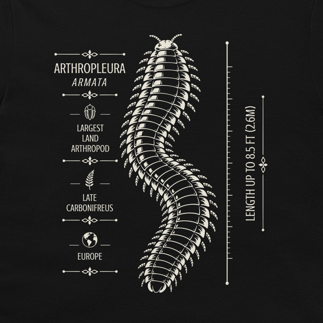 Black T-shirt detail showing Arthropleura armata illustration, facts and length scale