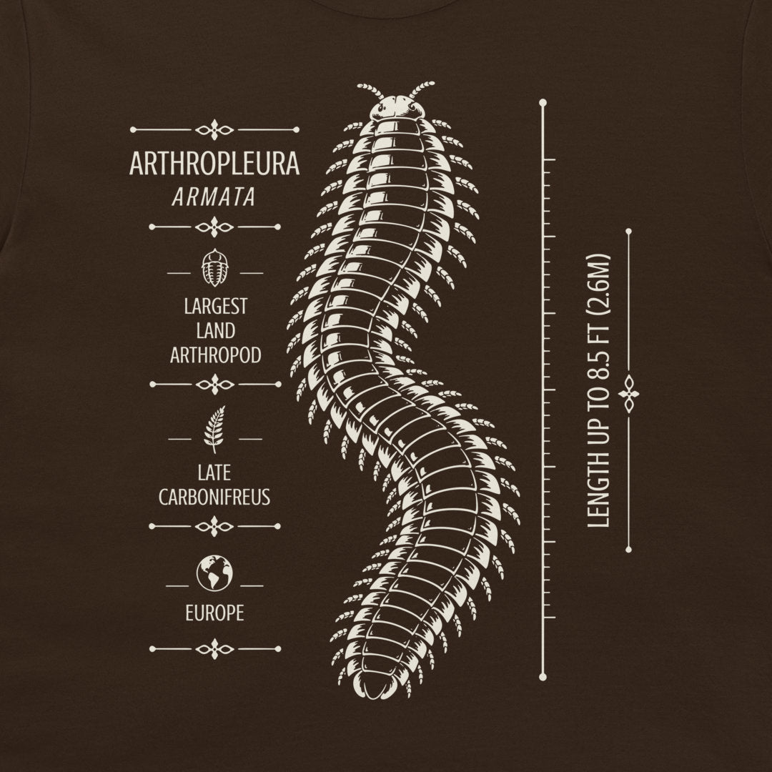 Dark chocolate T-shirt detail showing Arthropleura armata scientific specimen design