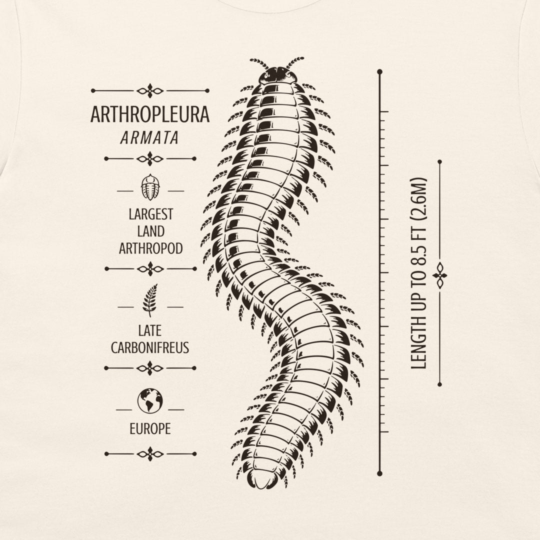 Natural T-shirt detail showing Arthropleura armata specimen-style prehistoric design