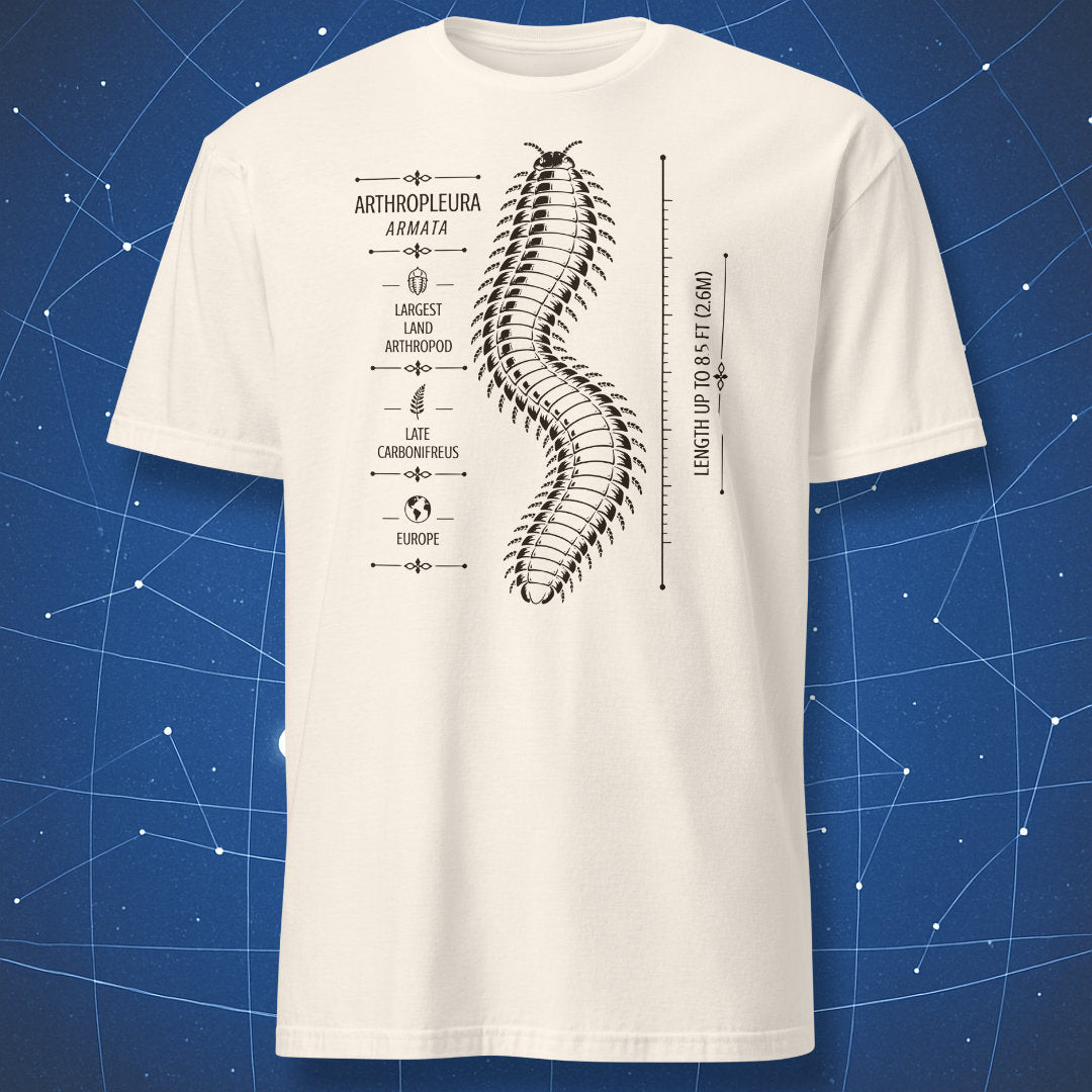 Natural T-shirt with Arthropleura armata prehistoric scientific illustration by Dork Matter