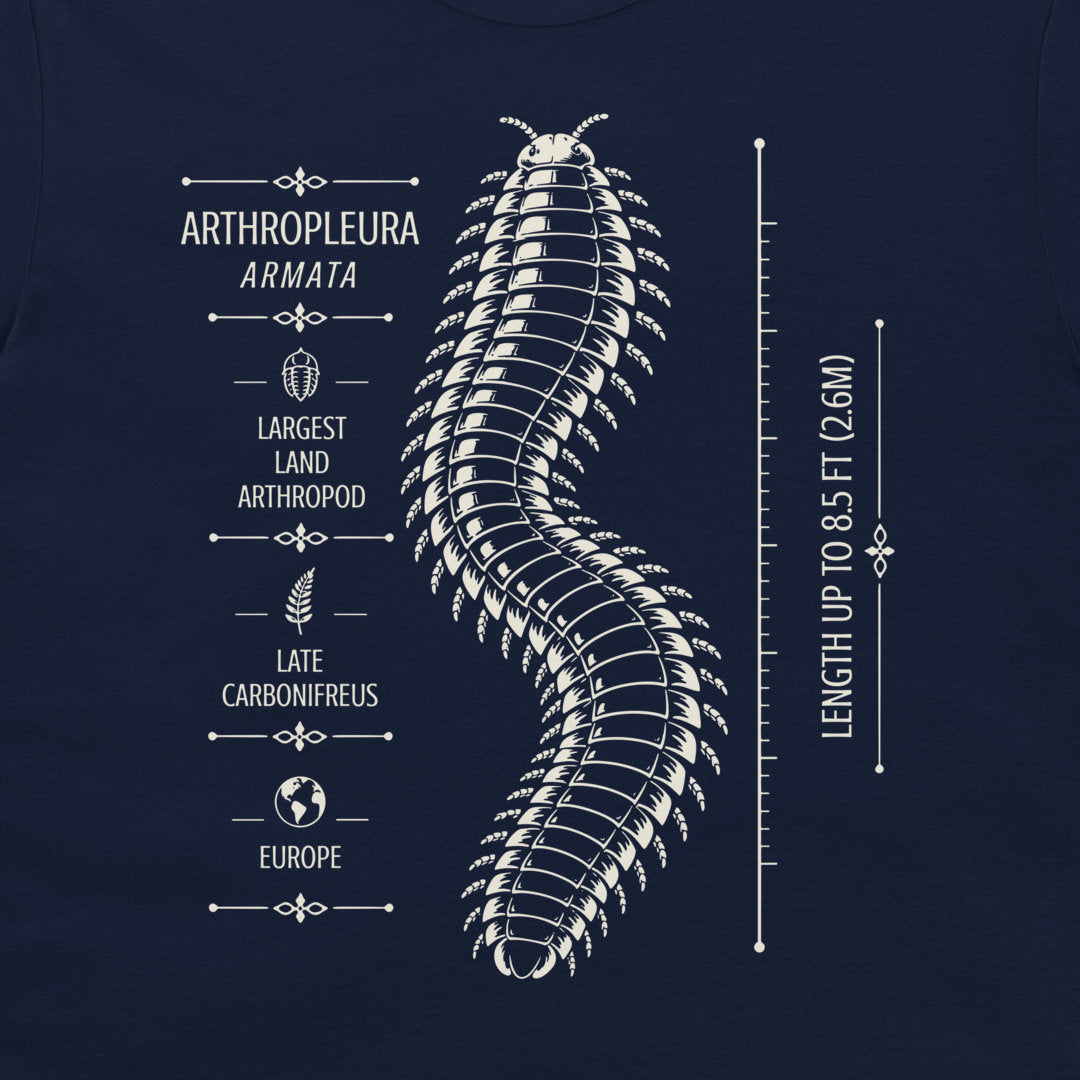 Navy T-shirt detail showing Arthropleura armata, Carboniferous facts and length scale