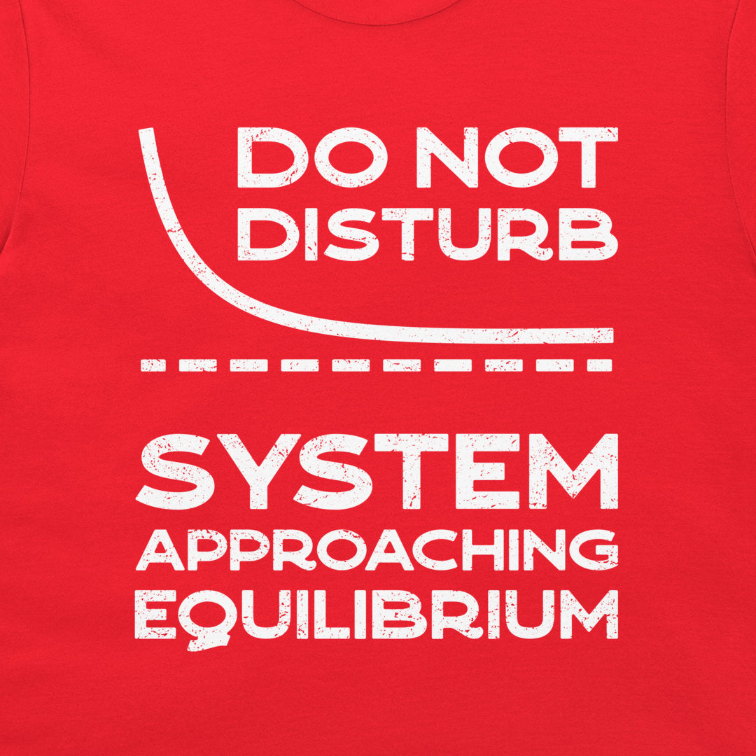 Close-up of the white System Approaching Equilibrium graphic on a red T-shirt