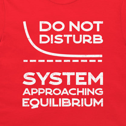 Close-up of the white System Approaching Equilibrium graphic on a red T-shirt