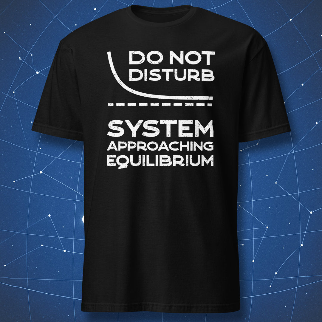 Black T-shirt with Do Not Disturb System Approaching Equilibrium thermodynamics design