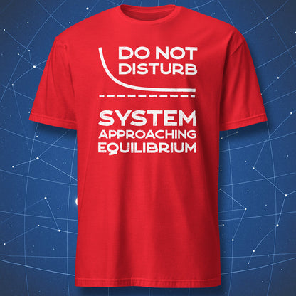 Red T-shirt with a Do Not Disturb thermodynamics design and equilibrium curve