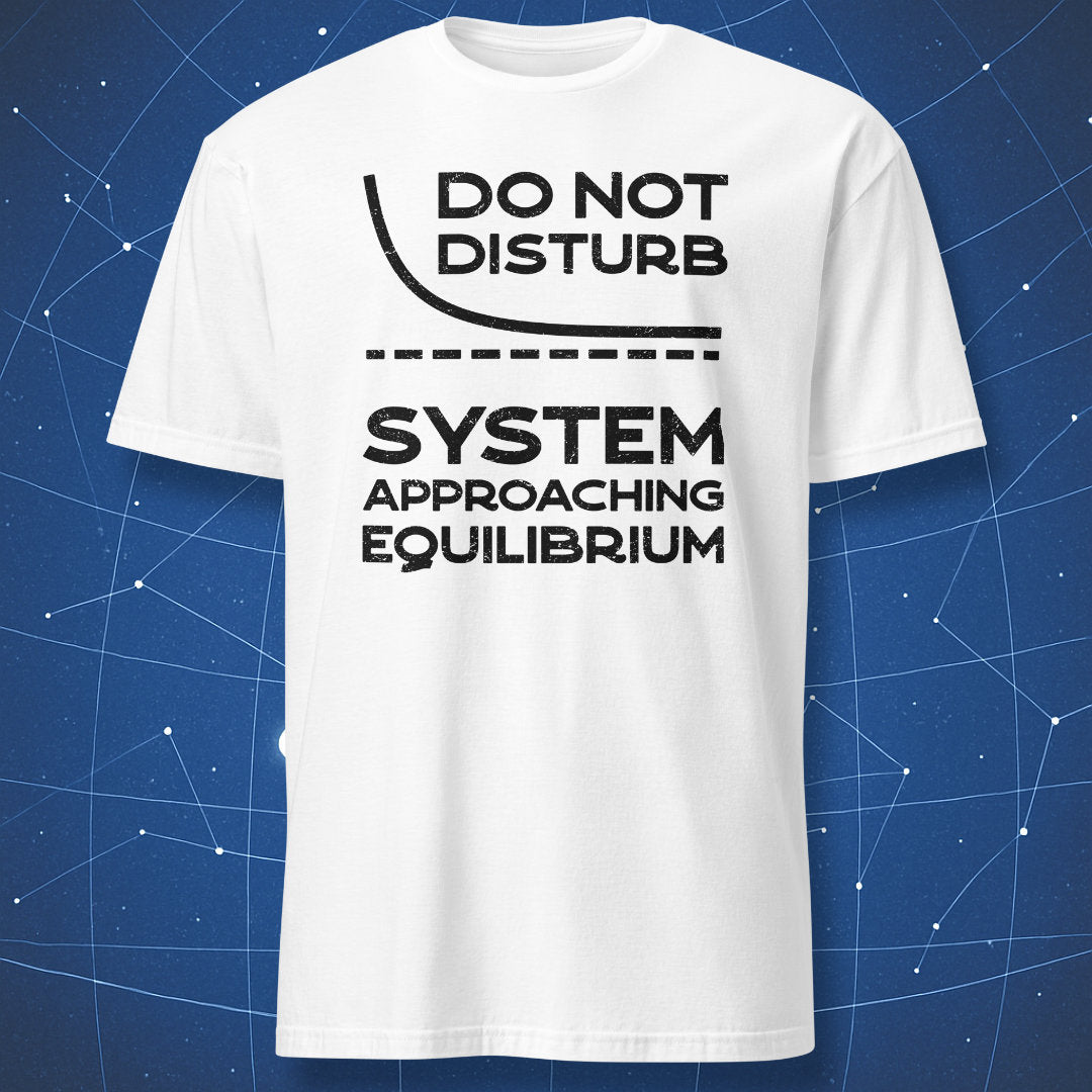 White T-shirt with a black Do Not Disturb System Approaching Equilibrium design