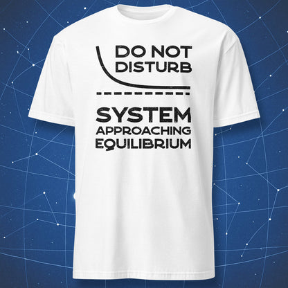 White T-shirt with a black Do Not Disturb System Approaching Equilibrium design