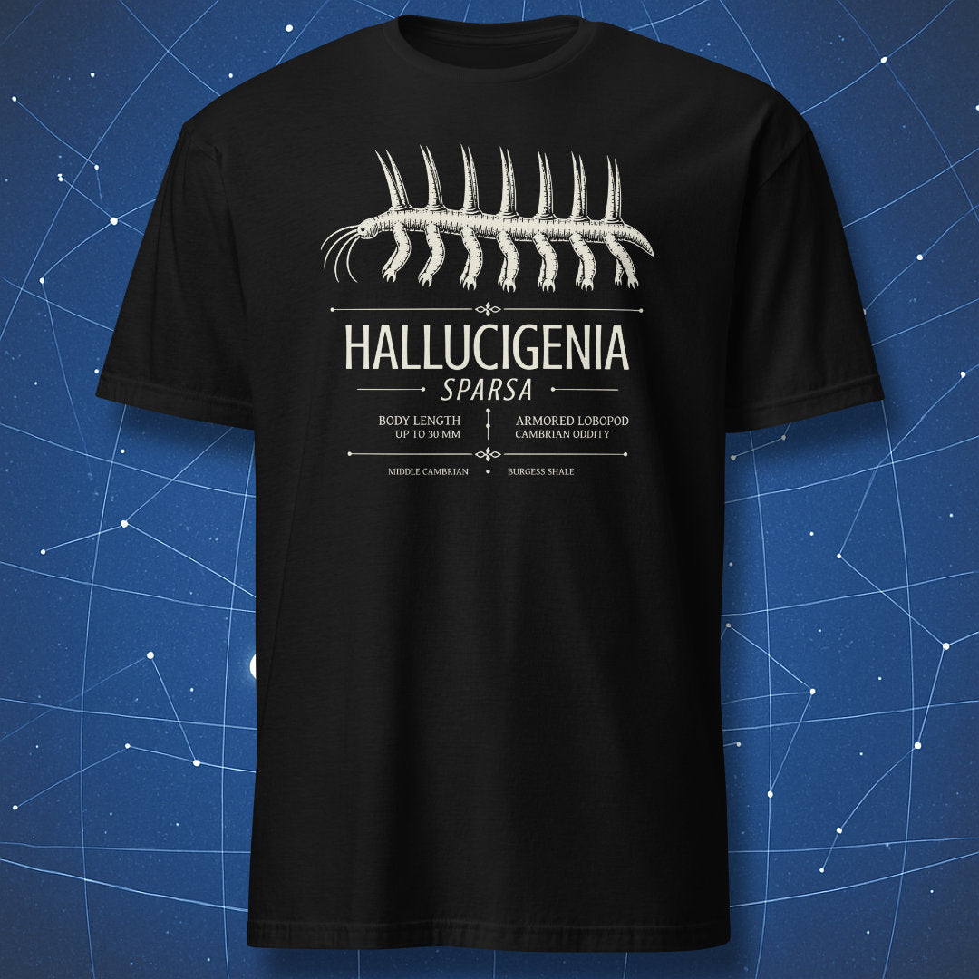 Black T-shirt with Hallucigenia sparsa Cambrian fossil design