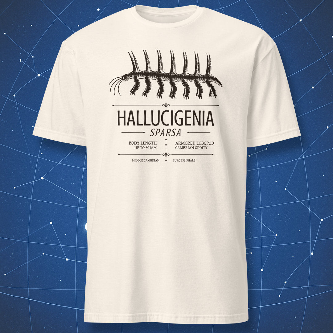 Natural T-shirt with Hallucigenia sparsa Cambrian lobopod illustration