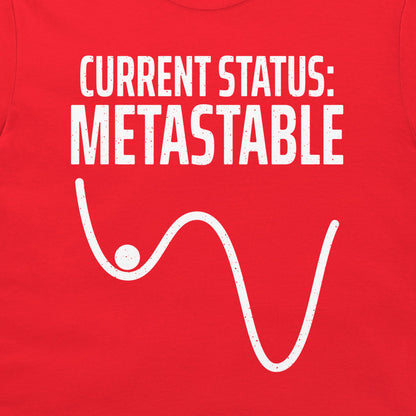 Close-up of the metastable potential-energy diagram printed on a red T-shirt